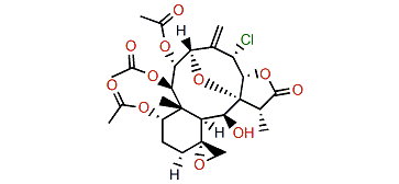 Fragilisinin C